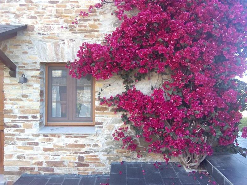 Casa Crisanta Villa Lomba Bagian luar foto